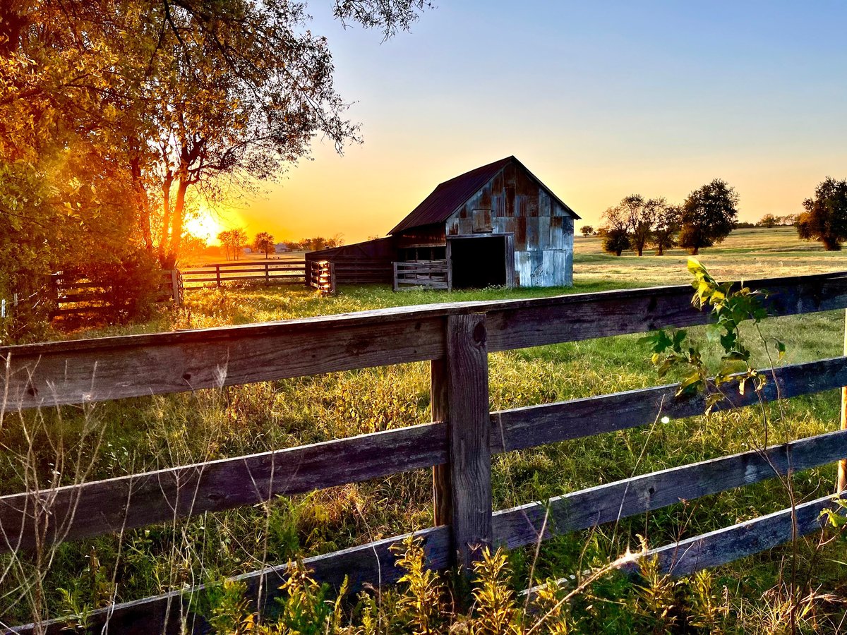 Our rustic barn at Little Blue's Farm in the evening