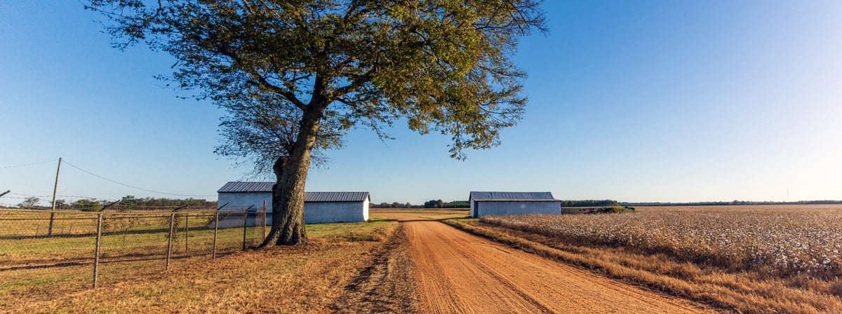 A rural farm road winding through cotton fields and farm sheds — a country scene that echoes the route our deliveries travel.