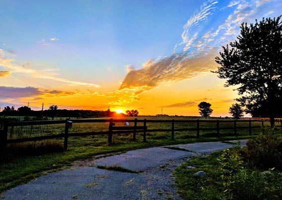 Sunset on the farm