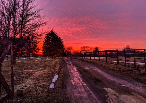 Sunset looking down dirt road