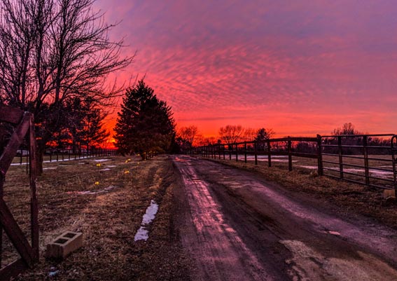 Sunset looking down dirt road