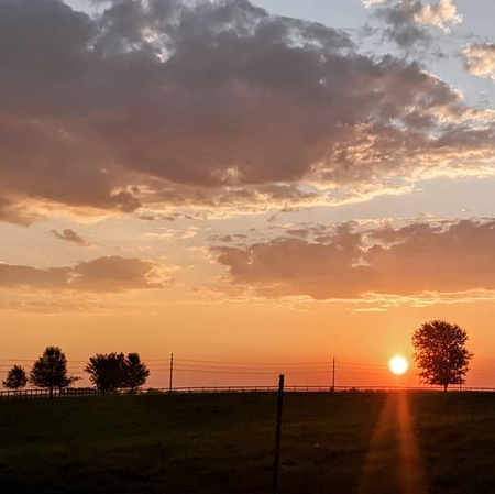 Farm Sunset